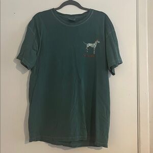 Comfort Colors Teal T-Shirt